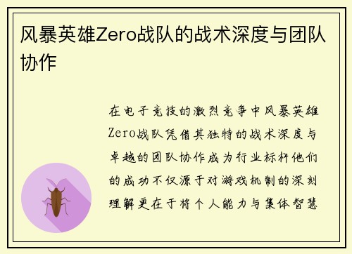 风暴英雄Zero战队的战术深度与团队协作